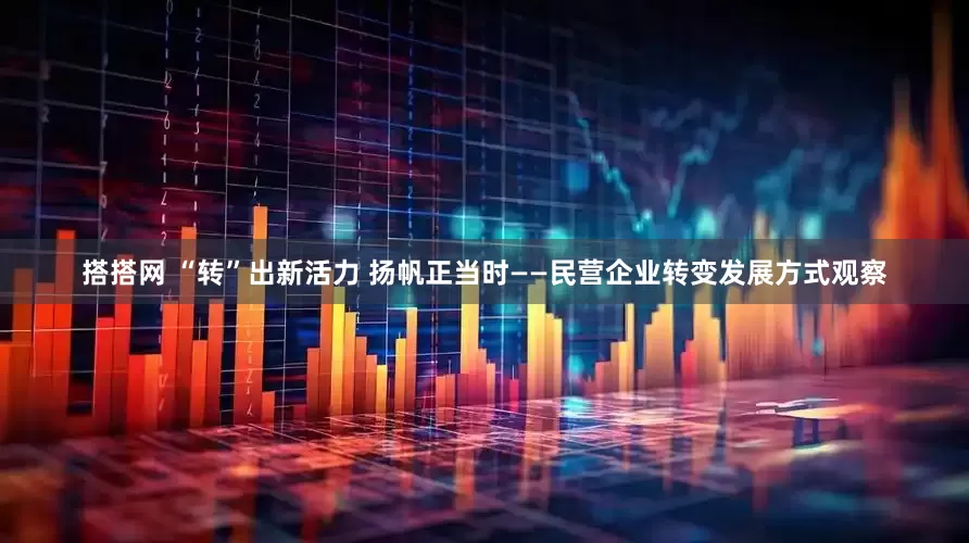 搭搭网 “转”出新活力 扬帆正当时——民营企业转变发展方式观察